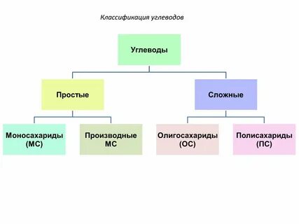 К полисахаридам относятся