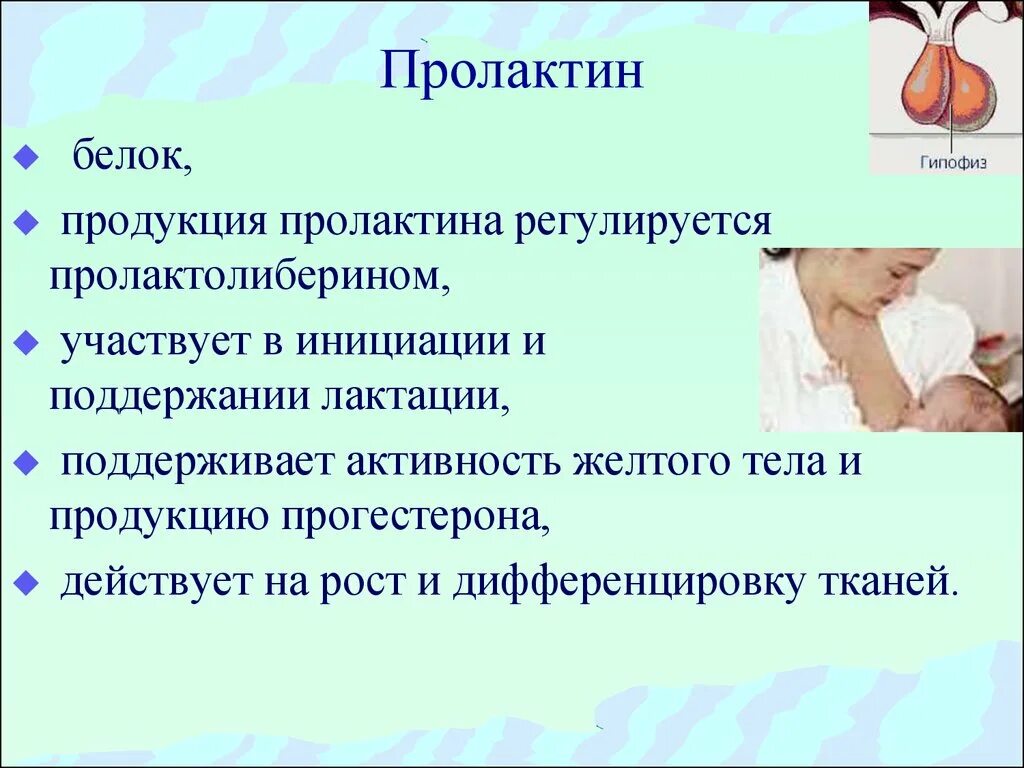 Пролактин 1000. Пролактин лютеотропный гормон. Пролактин гормон повышен у женщин. Пролактин воздействует на. Функции пролактина у женщин.