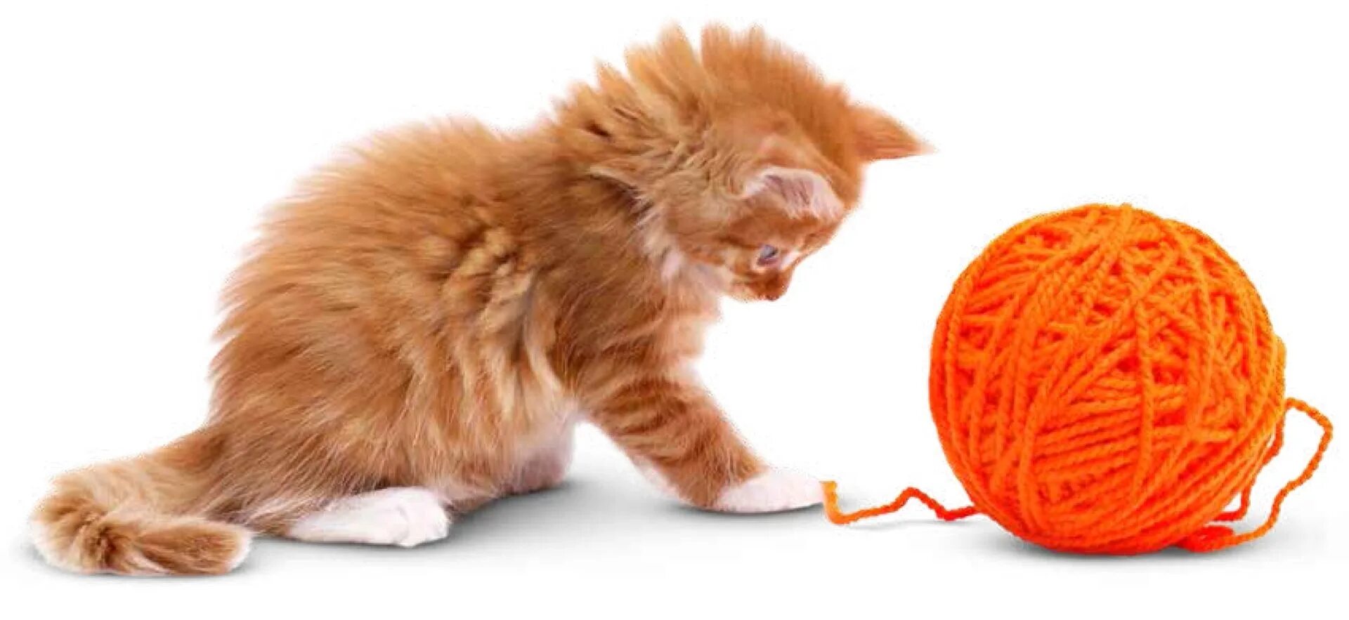 Котята играют на полу. Котёнок и клубок. Кот с клубком. Рыжий котенок с клубком. Котенок с клубочком.