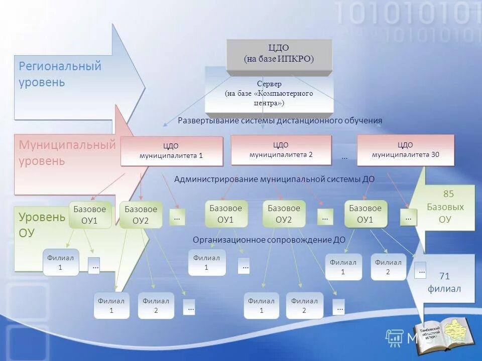 Главные цели социальной работы. Учреждения регионального уровня. Учреждения регионального уровня. Уровни образования организаций. Образовательные организации управляются на уровне.