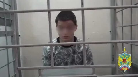 Преступник похищал детей