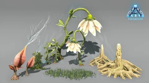 Plant z