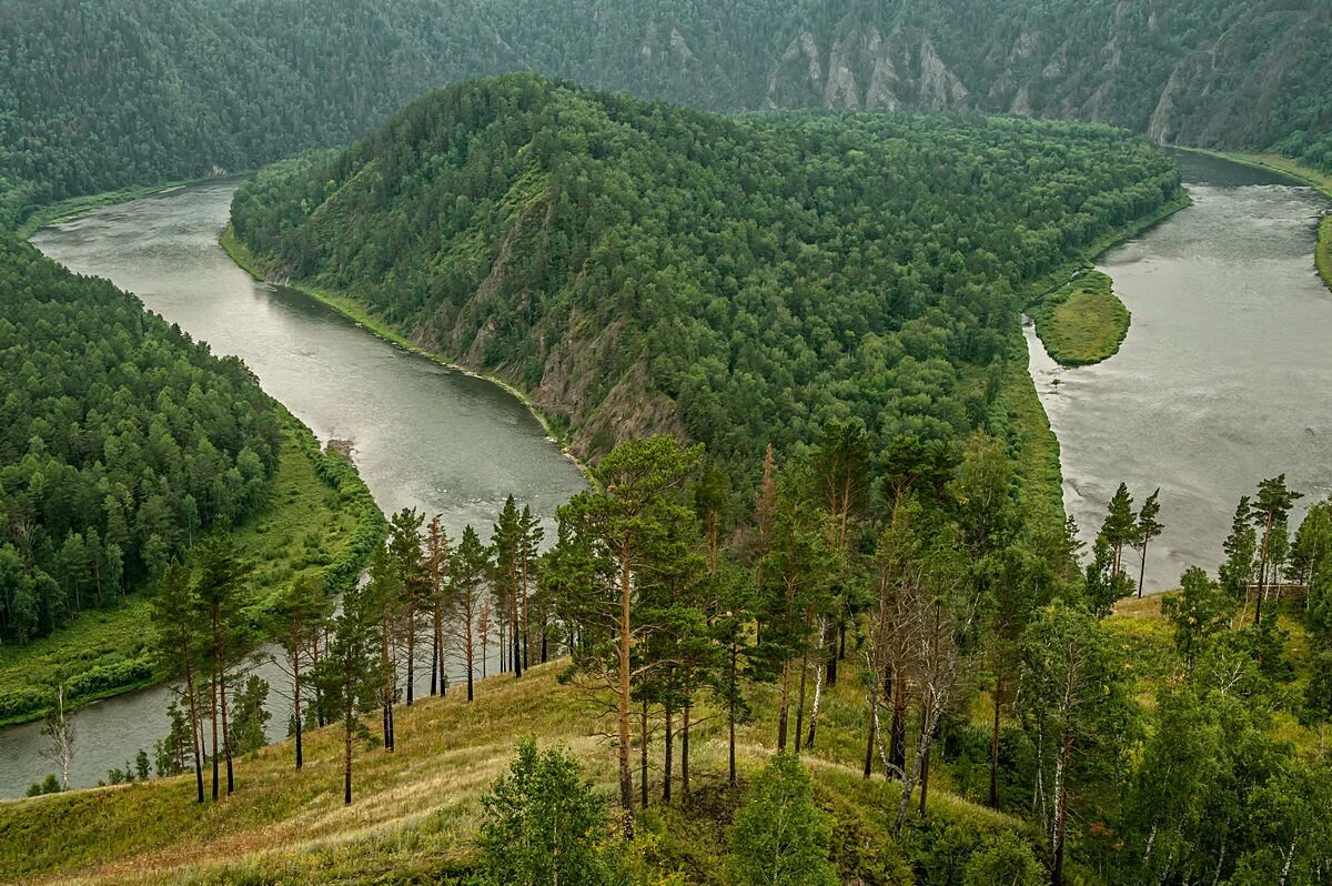 Красноярск край ру. Река Мана Красноярский край. Река Мана Манская петля. Река Енисей Красноярский край. Манская петля на реке Мана Красноярского края.