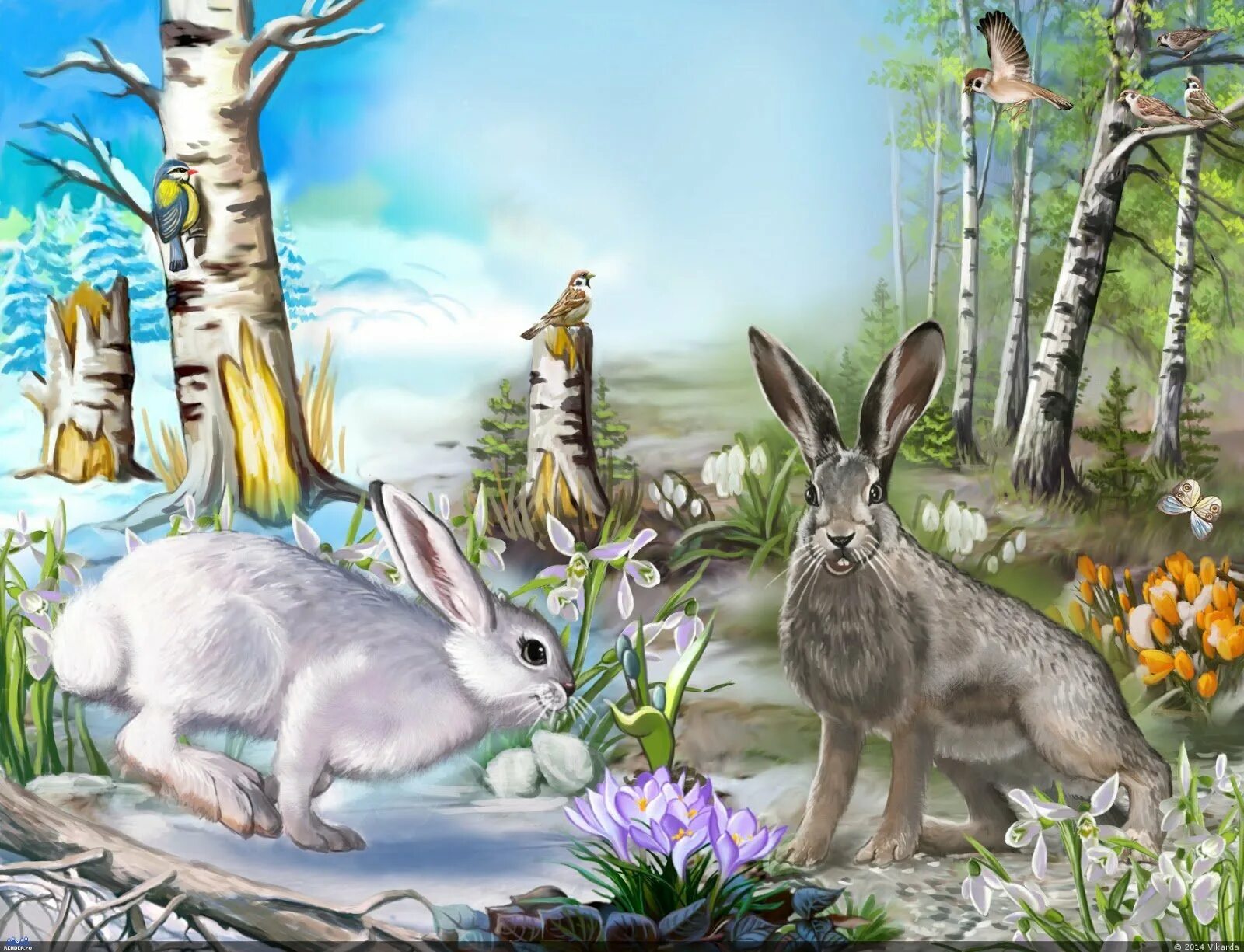 Дикие животные весной для детей. «Зайцы на полянке »  п. Меньшиковой. Звери в лесу. Животные весной. Заяц в лесу.