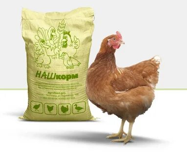 Лучшие корма для кур несушек