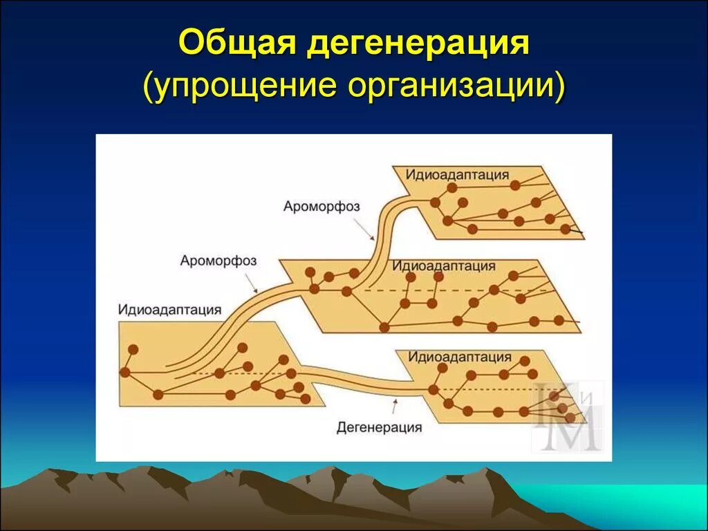 Направления эволюции ароморфоз дегенерация. Общая дегенерация. Общая дегенерация это в биологии кратко. Общая дегенерация катагенез. Дегенерация примеры у животных и растений.