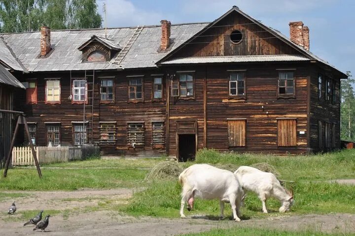 Екатеринбург поселок октябрьский. Поселок островное Березовский. Посёлок Октябрьский Свердловская область Березовский район. Поселок островное Свердловская область. Поселок островное Березовский городской округ.