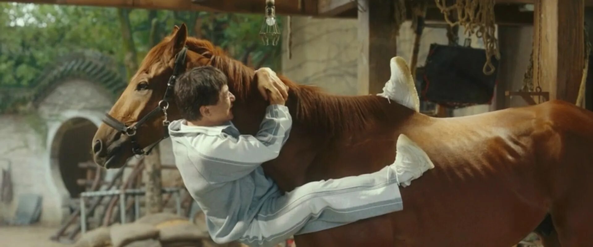 Конь фу. Фильм 2023 кунг фу жеребец смотреть. Цепной пёс из фильма с джеки чаном. Корейская дорама 2022. Фильм джек 2023.
