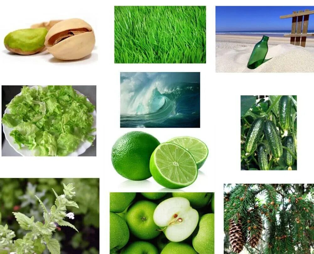 Зеленая ел какая какое. Предметы зеленого цвета. Предметы зелёного цвета в природе. Предметы салатового цвета в природе. Ассоциации с зеленым цветом.