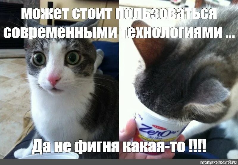 Да не фигня какая-то. Да ну бред. Да не фигня какая-то Мем. Кот да не фигня какая-то