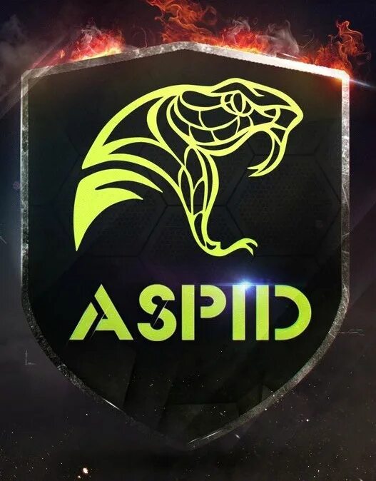 Аспид инсектицид. Аспид машина. Аспид лого. Aspid car logo. Щит Aspid.