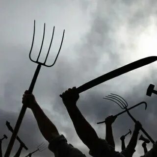 Покажи вил