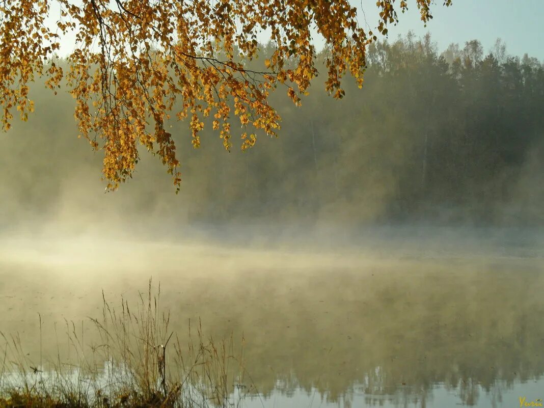 Осеннее утро. Раннее осеннее утро. Сентябрьское утро. Октябрь раннее утро.