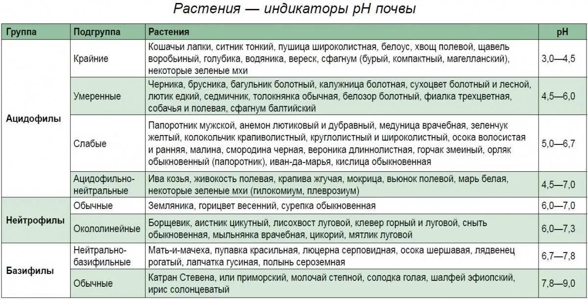 Какие почвы любят овощи. Растения индикаторы кислотности почвы щелочной. Кислотность почвы для растений таблица. Кислотность почвы для растений таблица для овощей. Таблица кислотности грунта для растений.