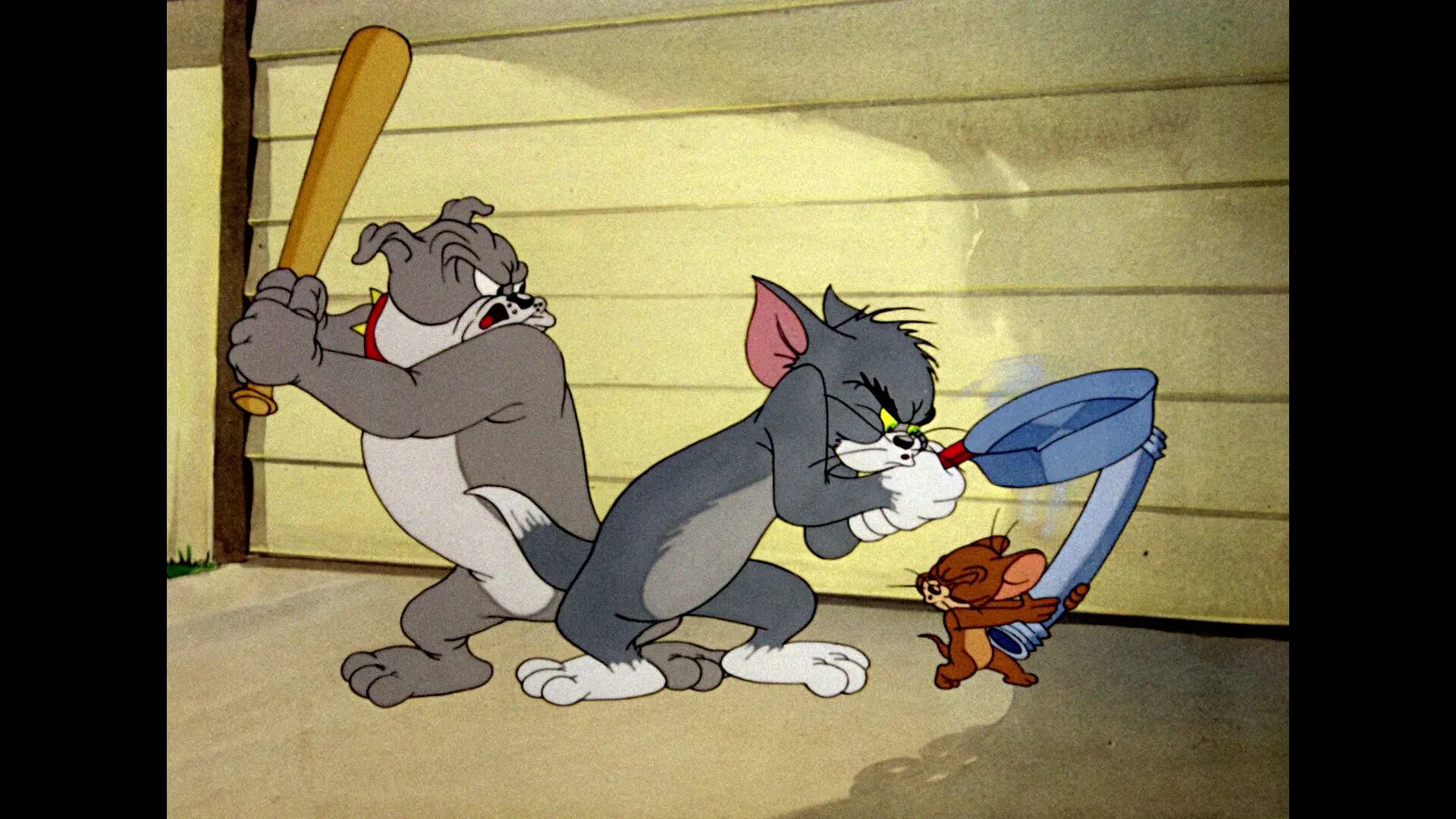 Tom and jerry 22 серия. Tom. Tom and jerry in shiver me whiskers 2006. Том и джерри 22. Том и джерри 22.