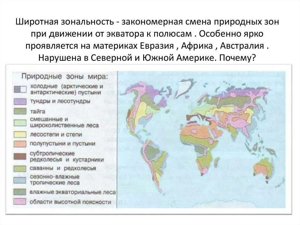 Природные зоны России от экватора к полюсам.