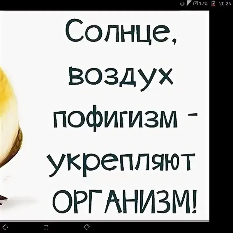 Картинки с позитивными высказываниями. Цитаты о пофигизме. Цитаты пофигизма. Статусы пофигизма. Пофигизм укрепляет организм.