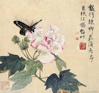 Цай няо
