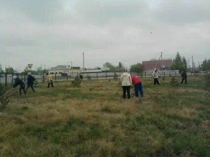 Погода алексеевка варненский