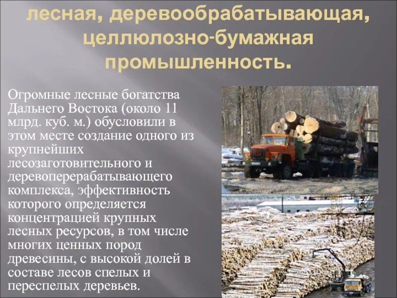 Лесная и деревообрабатывающая промышленность дальнего Востока. Продукция Лесной промышленности на Дальнем востоке. Лесная и целлюлозно-бумажная промышленность. Отрасли деревообрабатывающей промышленности. Целлюлозная и деревообрабатывающая промышленность