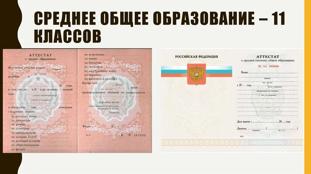 Образование после. Среднее общее образование это. Образование после 11 класса. Название образования после 11 класса. 11 Классов это среднее общее образование.