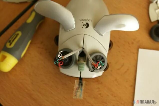 Computer flies