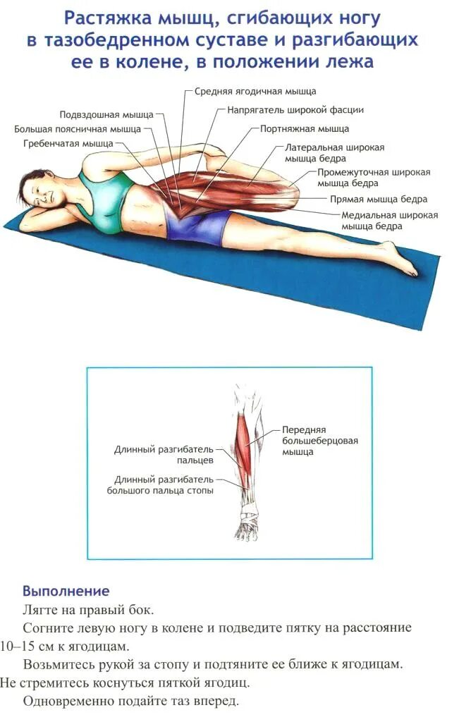 Поясница не сгибается. Растяжка приводящих мышц бедра. Упражнения для растяжения прямой мышцы бедра. Как растянуть бедро сбоку. Растяжка мышц тазобедренного сустава.