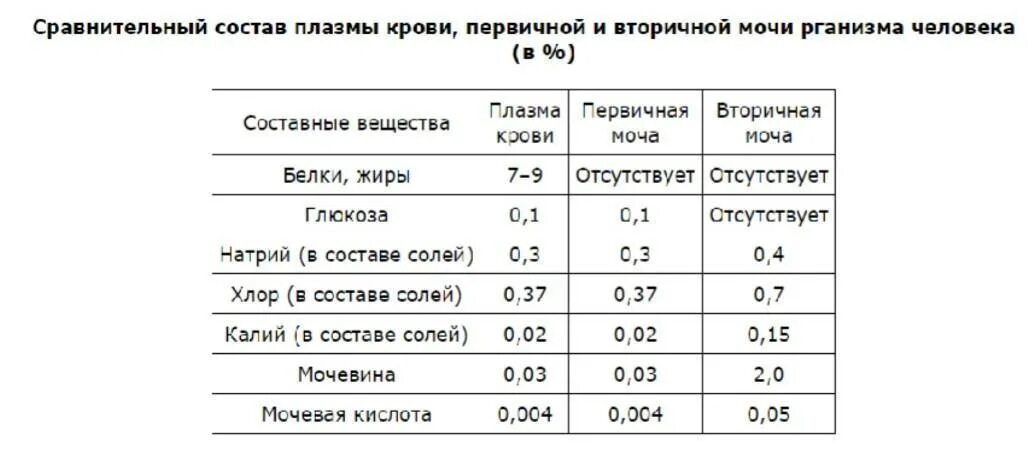 Первичная моча отличается от плазмы крови отсутствием. Таблица плазма крови первичная моча и вторичная. Первичная моча состав. Состав плазмы первичной и вторичной мочи. Состав плазмы крови первичной и вторичной мочи.