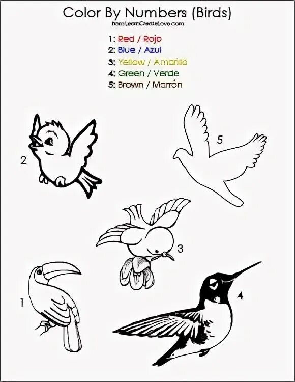 Birds задание. Birds activities for Kids. Birds Worksheets for Kids. Birds tasks for Kids. Bird Colour by numbers for Kids.