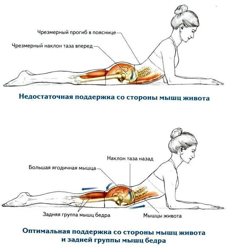 Положение бедер