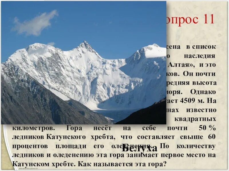 Абсолютная высота алтайских гор. Сообщение про заповедник Алтайский золотые горы Алтая. Золотые горы Алтая короткая информация. Природное наследие золотые горы Алтая. Рассказ про гору Алтай.