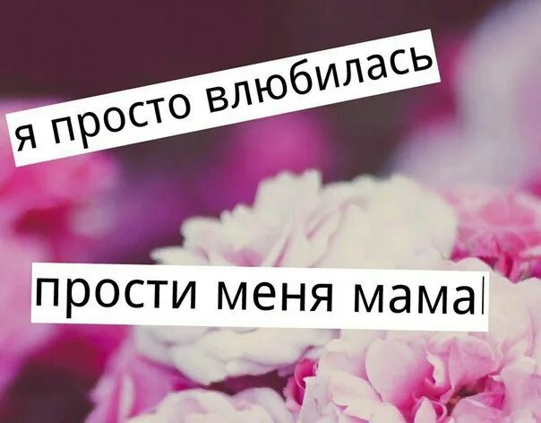 Легко влюбиться песня. Мама прости. Надпись прости меня мама. Влюбился в маму. Я просто влюбилась.