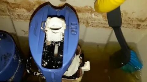 Внутренности унитаза видео