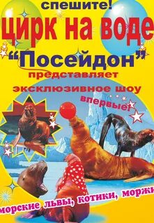 Цирк вакансии