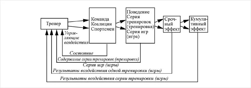 Схема управления тренировочным процессом Развитие и тренировка физических качеств юных хоккеистов (сила, быстрота, выносл