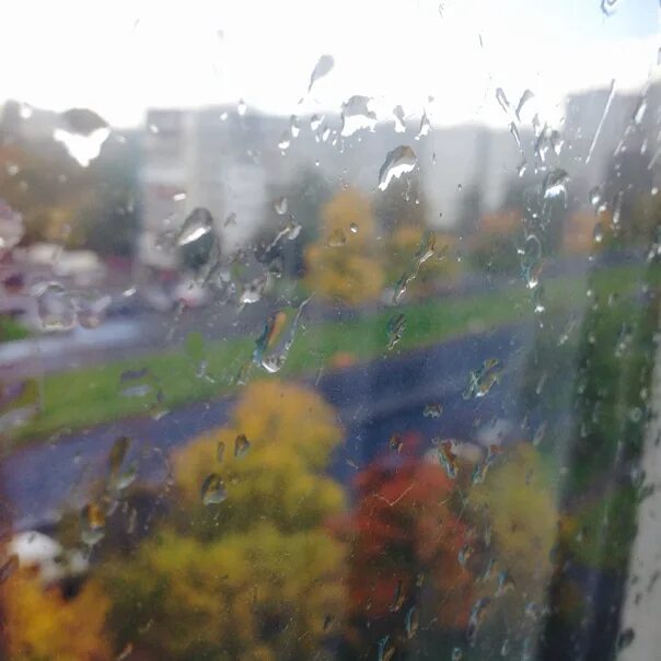 Дождь стучит по крышам. Дождь осенний барабанит по крышам. Дождь осенний постучал в окно. Осенний дождь стучит по стеклу.