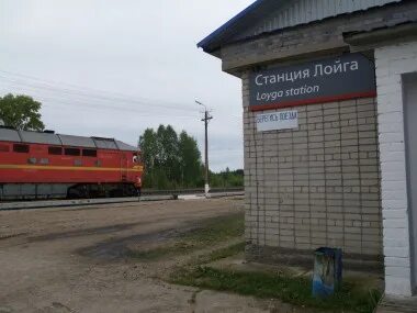 Погода лойга