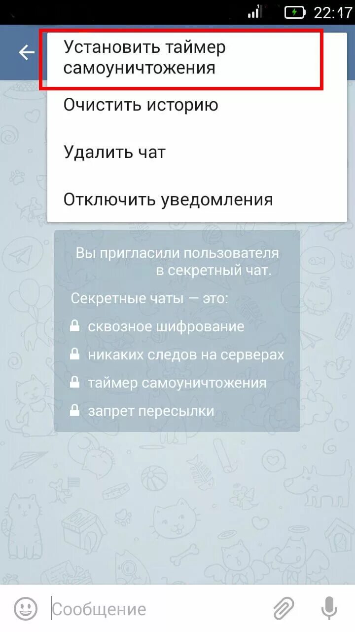 Почему в телеграмме удален чат. Секретный чат в телеграмме. Секресерый чат в телеграм. Таймер сообщений в телеграм. Секруиные сообщения в телеграме.