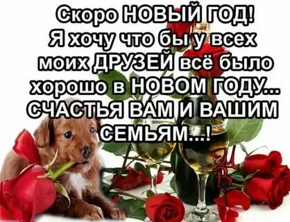 Желаю чтобы ваша любовь