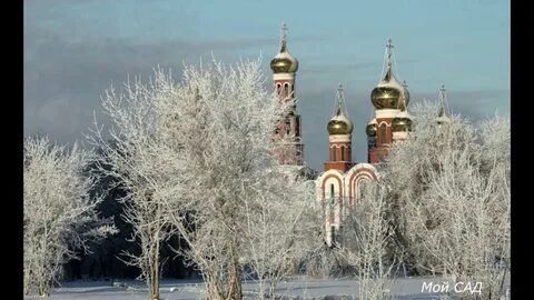 Омская область зимой