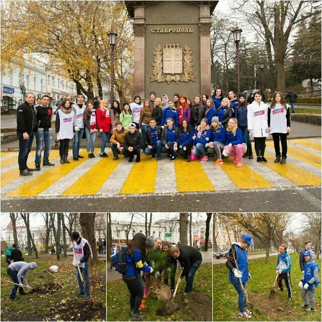 Ставропольский колледж СРМК. СМК колледж Ставрополь. Ставропольский многопрофильный колледж Кулакова 8. Светлоградский многопрофильный колледж. Сайт срмк ставрополя