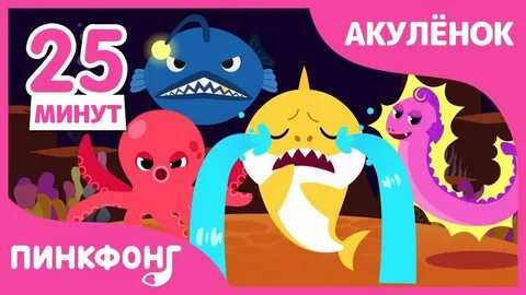 Pinkfong акуленок текст песни
