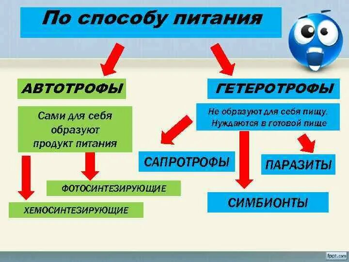 Автотрофный и гетеротрофный. Способы питания автотрофы гетеротрофы таблица. Схема питания бактерий. Микроорганизмы по питанию. Типы питания бактерий.