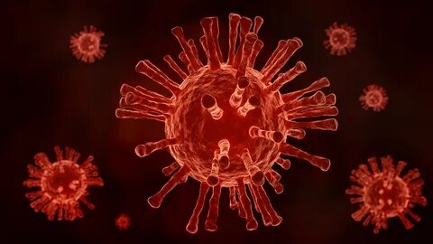 Red virus