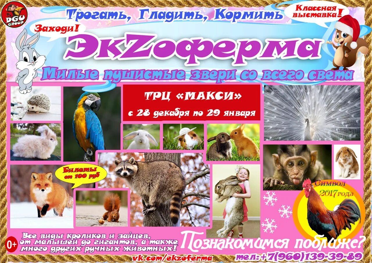 Экзоферма