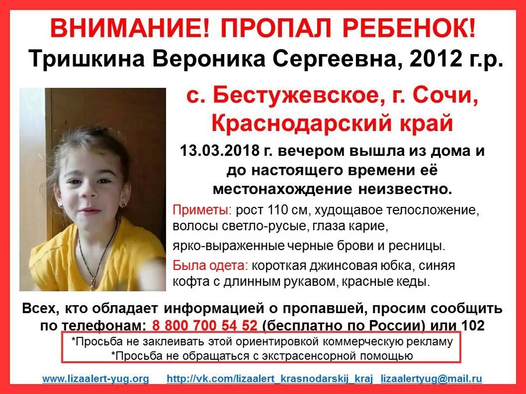 Где потерялась девочка. Пропавшие дети. пропавшая вероника тришкина. пропавшие дети сочи. пропал ребенок девочка.