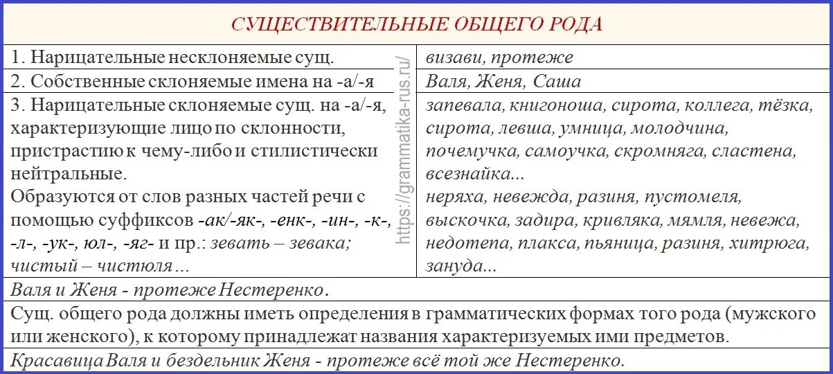 Что такое существительное общего рода в русском языке. Имена существительные общего рода примеры. Общий род существительных правило. Общий род имен существительных. Предложения с словами общего рода