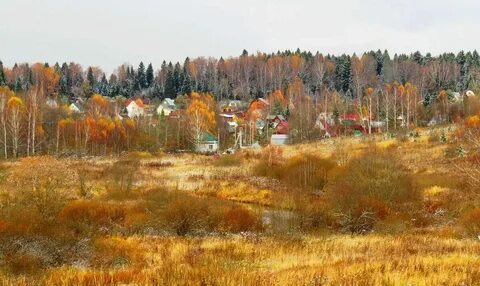 Погода в ноябре в подмосковье