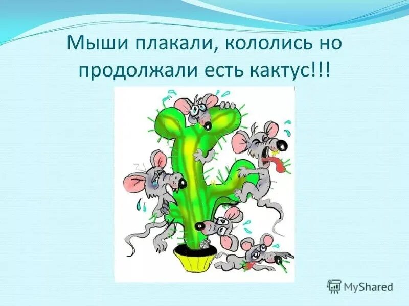 Мыши плакали кололись но продолжали жрать. Мыши жрут кактус. Ёжик плакал кололся но продолжал жрать кактус. Мышки плакали кололись. Кололись и плакали.