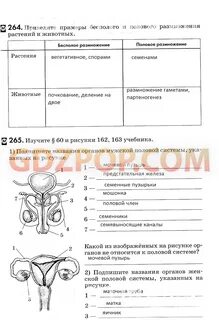 Решебник по биологии 8